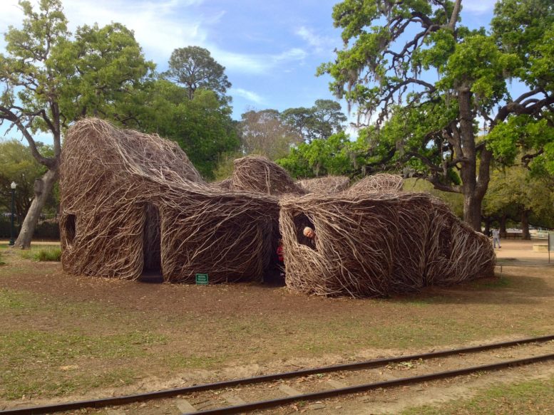 Patrick Dougherty