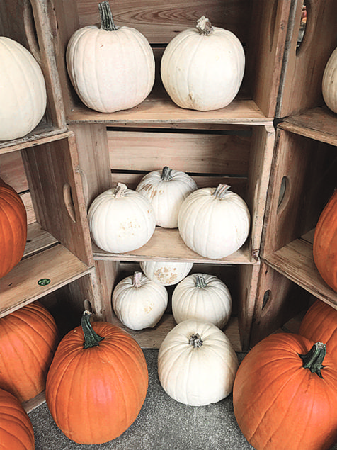 Fall season is not complete without the pervasive pumpkin