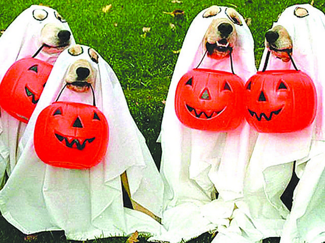 A ‘spooktactular’ line-up of events for Halloween | Featured#