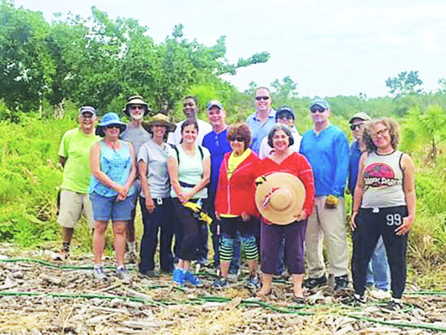 Commissioner Levine Cava a volunteer restoring coastal wetlands