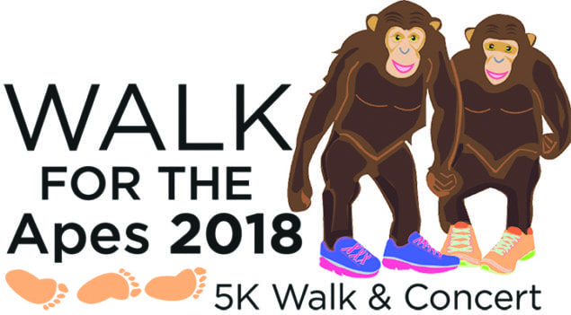 Miami Walk for the Apes aims to make things right