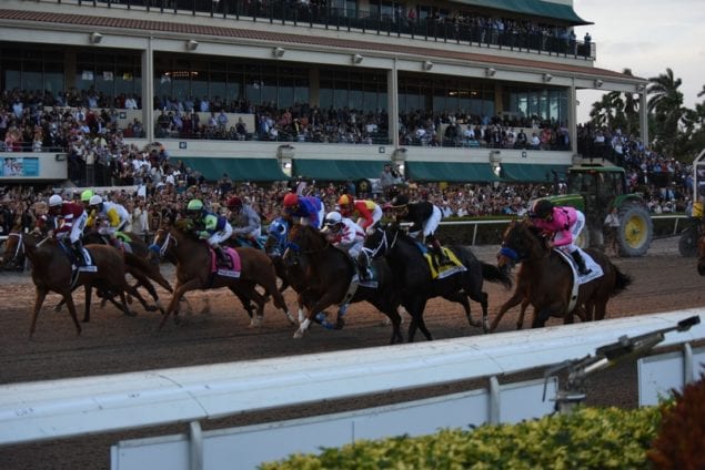 The Pegasus World Cup Invitational, South Florida’s Newest Must Attend Event