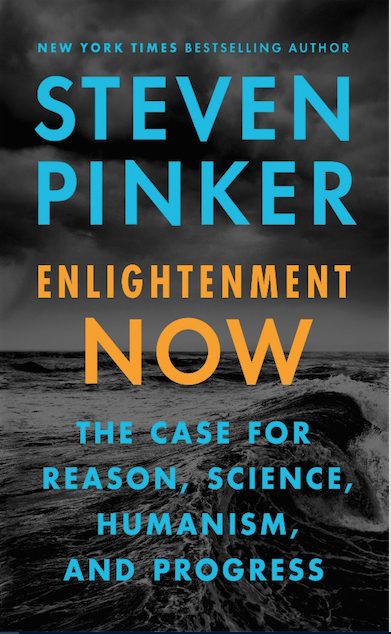 Steven Pinker's new book presents the big picture of human progress