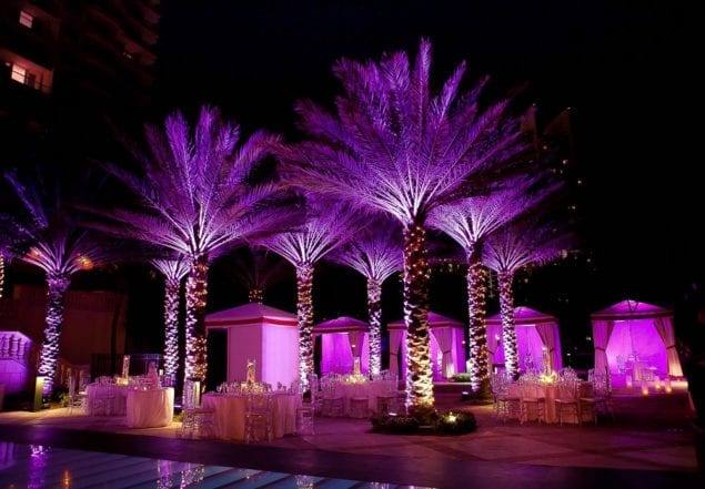 Set the scene for life’s spectacular celebrations at Acqualina Resort