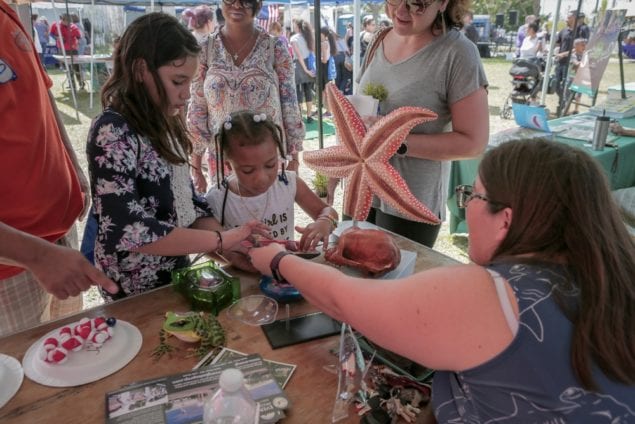 Hundreds gather for fourth annual Homestead Eco Fair