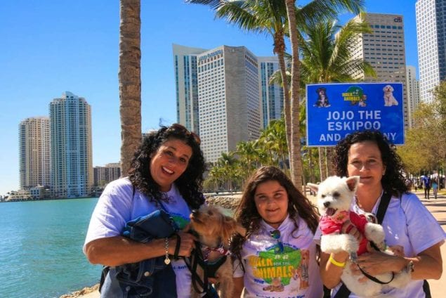 Thousands take part in Miami’s biggest Walk for the Animals