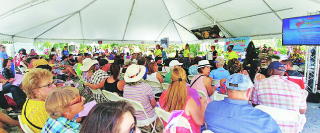 14th Annual Deering Seafood Festival bigger than ever