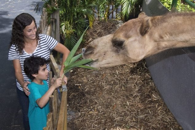 Zoo Miami voted among 10 Best Zoos in the USA