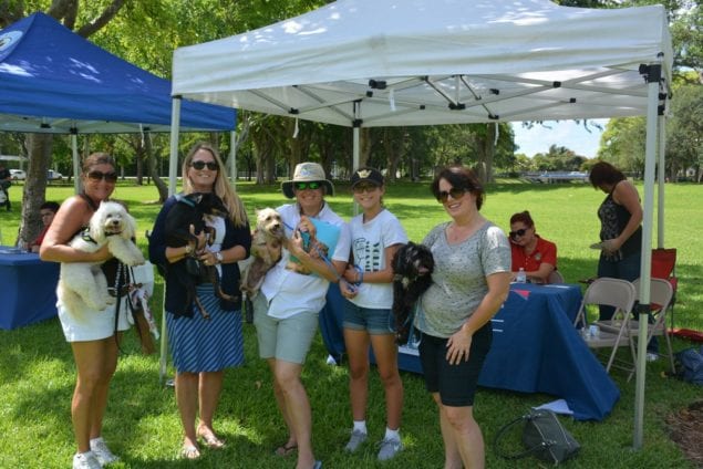 ‘Dogs of Summer’ Adoption and Training Expo returns