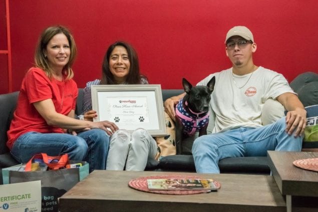 From Leisure City to Westchester, wandering dog found a year later