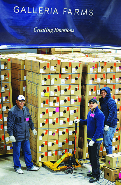 Prime Air Cargo is a centerpiece in Miami’s blossoming flower transport business