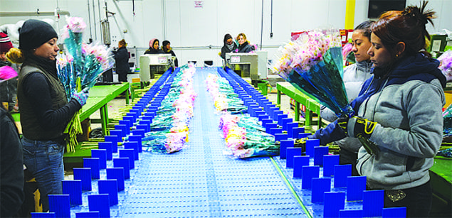 Prime Air Cargo is a centerpiece in Miami’s blossoming flower transport business