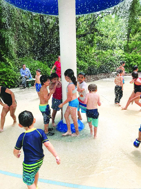 Summertime means fun time at Pinecrest Gardens