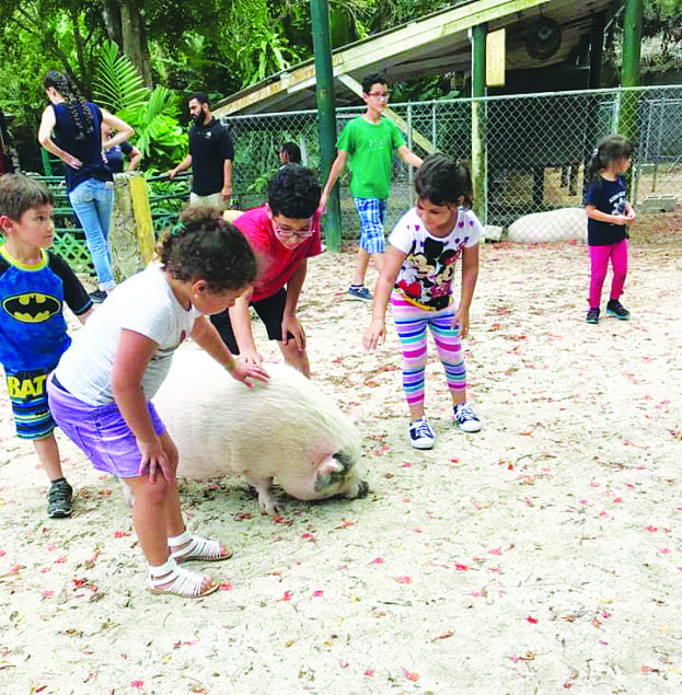 Summertime means fun time at Pinecrest Gardens