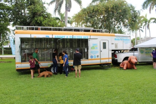 ‘Dogs of Summer’ event brings out people and their pooches