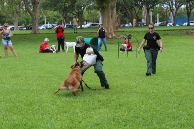 ‘Dogs of Summer’ event brings out people and their pooches