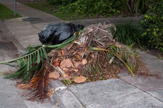 Do not allow your gardeners to illegally dump outside yard waste