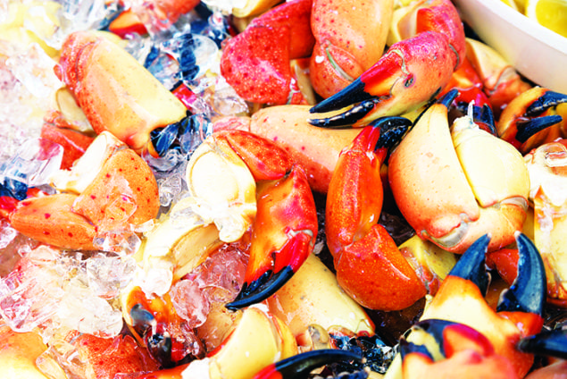 South Beach Seafood Festival is back October 16-20!