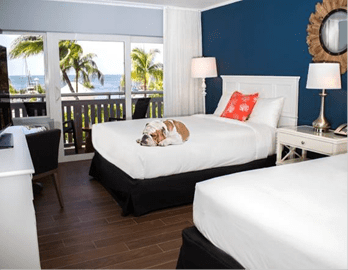 Banana Bay Resort & Marina In Marathon, Florida Upgrades Amenities To Offer  Pet-Friendly Accommodations, Water Sports And A Waterfront Bar | Miami  Beach Community News#