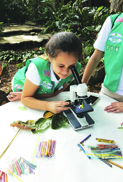 Two fabulous children’s concerts headlining at the Gardens