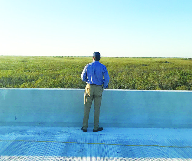 Final bridge over Tamiami Trail nears completion