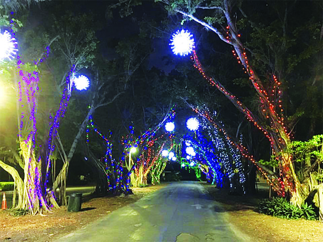 Pinecrest Gardens’ Holiday Nights Of Lights