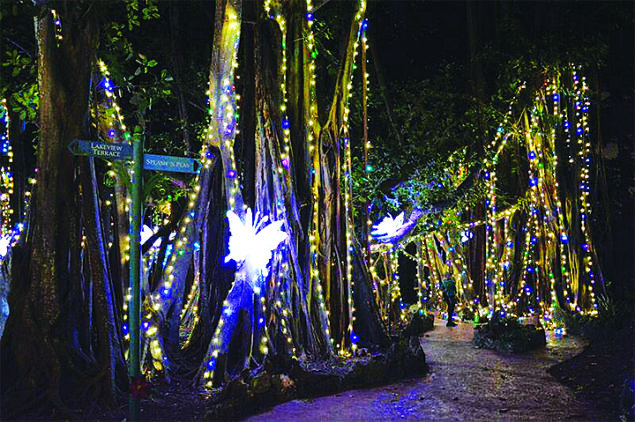 Pinecrest Gardens’ Holiday Nights Of Lights