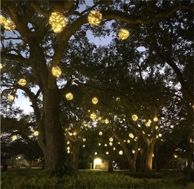 Grove shines brighter with #GroveGlow lighting installation at Peacock Park