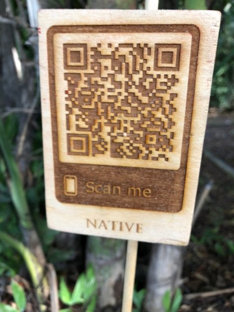 PTS science classes use QR codes in tree ID project