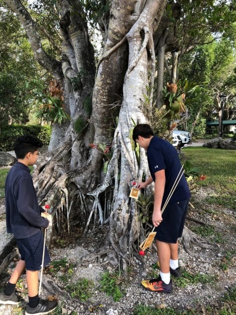 PTS science classes use QR codes in tree ID project