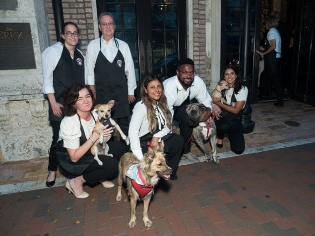 Paws4You, Chopard to present 'Diamonds are Forever' Gala