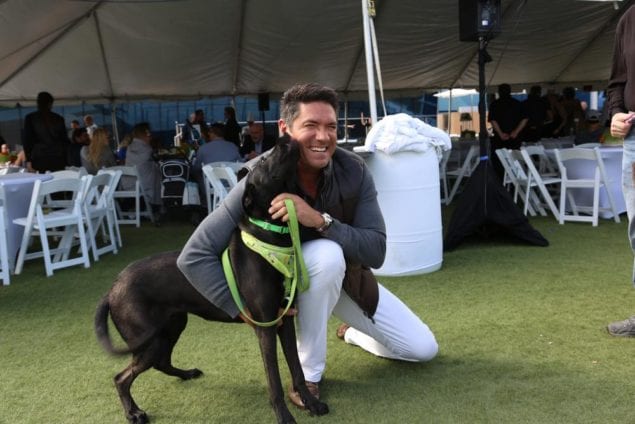 The Humane Society of Greater Miami’s Brunch for the Animals Gives a Second Chance to Miami’s Homeless Pets!