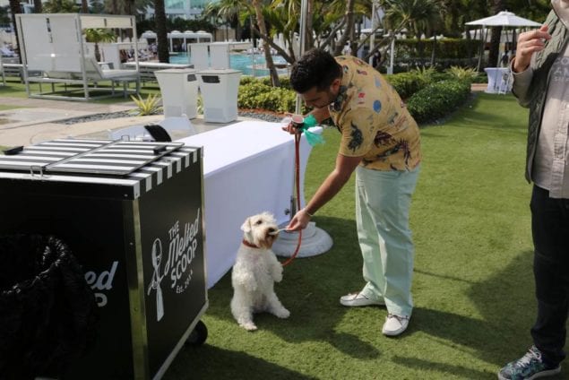 The Humane Society of Greater Miami’s Brunch for the Animals Gives a Second Chance to Miami’s Homeless Pets!