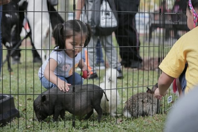 Families connect with nature at the Homestead Eco Fair