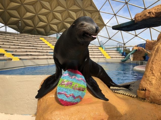 BunnyPalooza at Miami Seaquarium offers egg-citing Easter Weekend