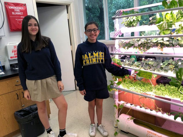 Palmer Trinity School 7th grade students grow hydroponic food