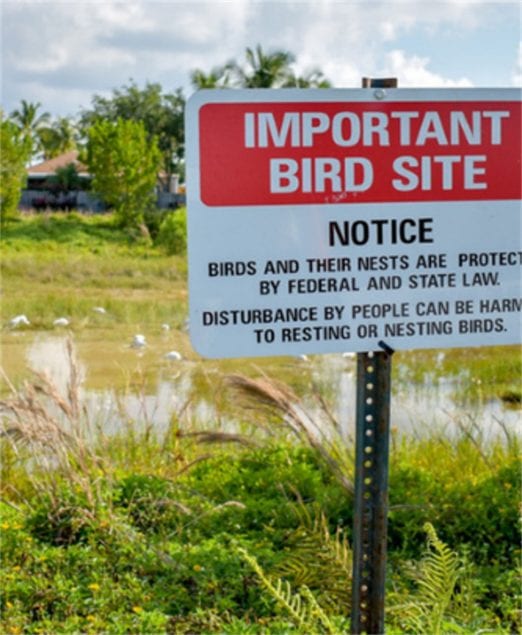 Town seeking residents’ help to protect environmental site