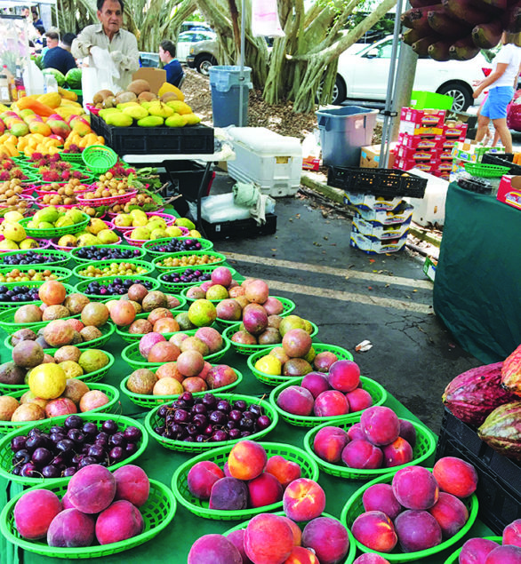 Best Farmer’s Market in Miami