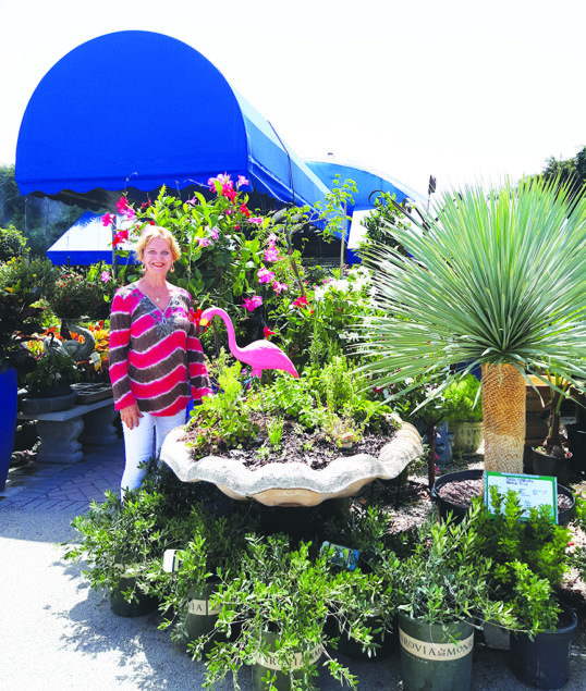 Miami Nursery Encourages Local Residents To Go Native