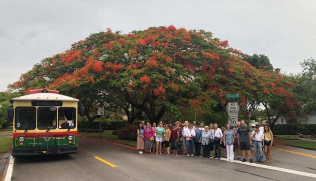 Tropical Flowering Tree Society keeps City Beautiful blooming