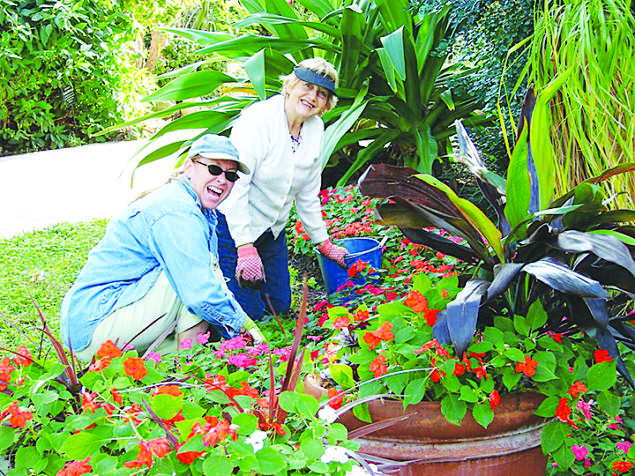 Why volunteering is so important at Pinecrest Gardens