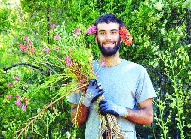 Why volunteering is so important at Pinecrest Gardens