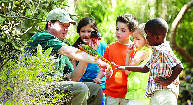 Why volunteering is so important at Pinecrest Gardens