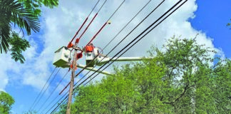 Pondering power plans in today’sPinecrest Pondering power plans in today’sPinecrest