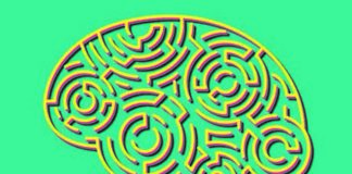 Brand vs Company : The Ultimate Personality Contest Brand vs Company: The Ultimate Personality Contest