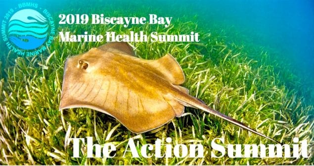 Solutions for marine debris, pollutants in Biscayne Bay addressed at Summit