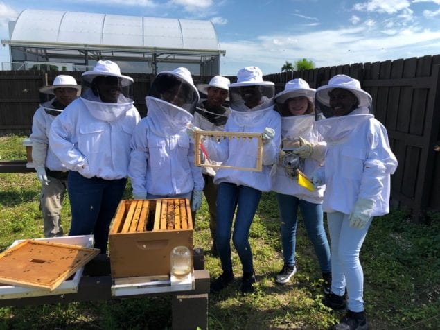 Bats, Bees and Butterflies: student program focusing on environment