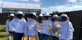 The art of Richard Cohen on display at village’s Perrine Community House Bats, Bees and Butterflies: student program focusing on environment