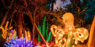 Jungle Island promises ‘spooktacular’ activities for Halloween celebration Jungle Island promises 'spooktacular' activities for Halloween celebration