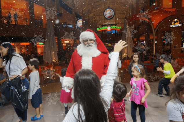 Dolphin Mall to repeat magical winter wonderland experience